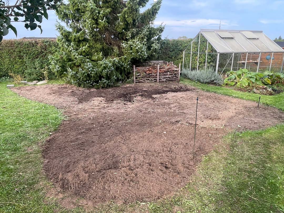 Græsset er væk i skovbed