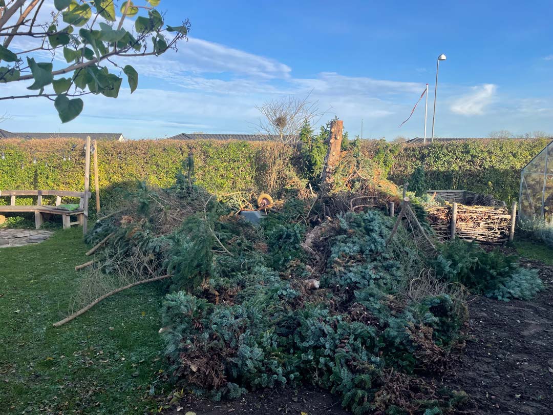 Det store træ er faldet