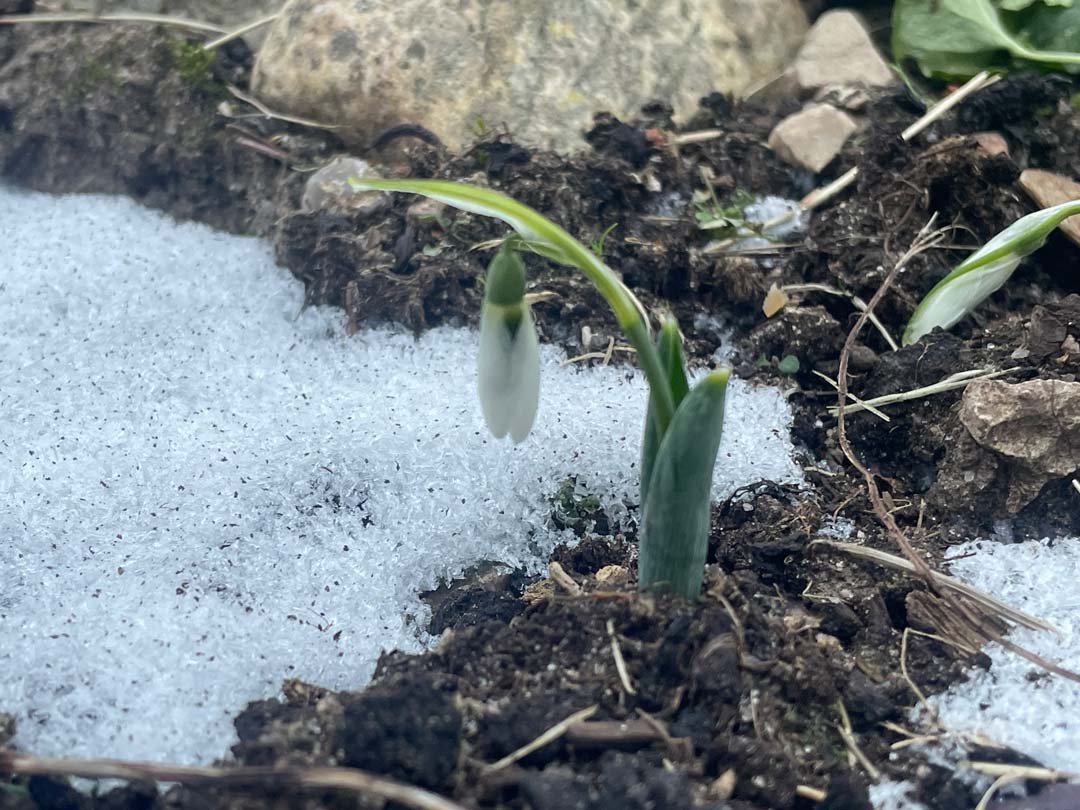 Lyset er på vej tilbage